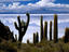 Image_2662-4