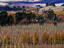 Derwent Valley, Tasmania