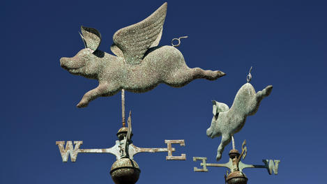 Image_26655-64