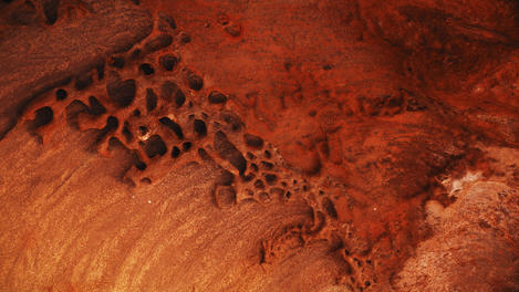 Image_26665-5