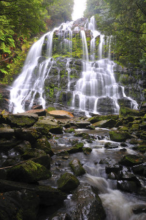 Nelson Falls at Franklin-Gordon Wild Rivers National Park.