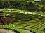 Image_26668-13