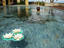 Image_26668-20