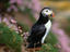 Image_2667-26