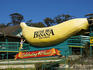 The Big Banana tourist attraction.