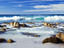 Friendly Beaches, Pacific