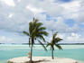 Small island with palm trees in Bora Bora Lagoon.