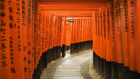 Tunnel of torii gates with inscriptions at Fushimi Inari Shrine.