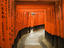 Torii gates, Fushimi Inari Shrine, Kyoto