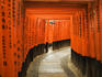 Tunnel of torii gates with inscriptions at Fushimi Inari Shrine.
