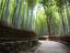 Bamboo forest walkway, Arashiyama district.
