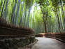 Bamboo forest walkway, Arashiyama district.