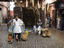 Shopkepper selling natural remedies, Marrakesh