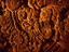 Image_2669-26