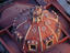 Image_2671-8
