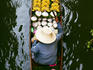 Fruit vendor on boat selling coconuts and bananas at Damnoen Saduak Floating Market.
