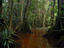 Image_26721-1