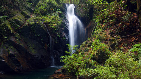 Jungle waterfall, Belize