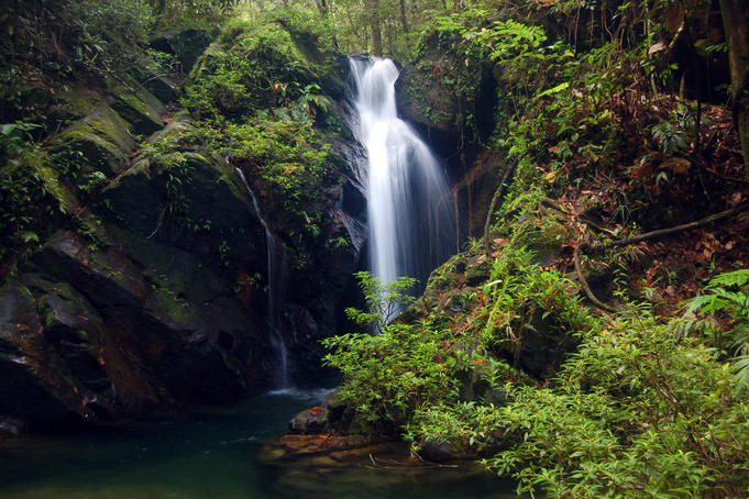 Jungle waterfall.