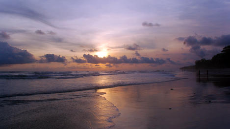 Image_26724-20
