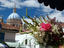Image_26725-4