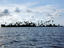 Palm-covered island in the San Blas Archipelago.