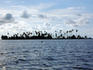 Palm-covered island in the San Blas Archipelago.