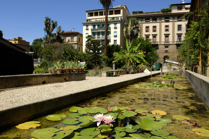 Semplici Garden.