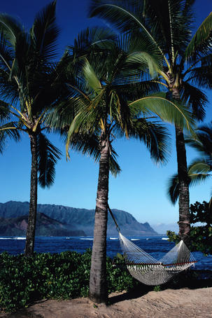 A hammock suspended between two palm trees at the Princeville Hotel, overlooking Hanalei Bay and the Bali Hai cliffs, on Kauai