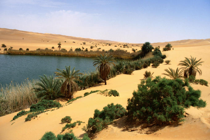 Mavo Lake, which is reknown for changing colour (blue, green... even red), rimmed with lucky vegetation in the Awbari Sand Sea