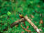 Image_2716-103