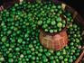 Fresh green peas at the mercado - San Cristobel de Las Casas, Chiapas