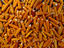Another of the staples, corn - Zinacantan - San Cristobal de Las Casas, Chiapas