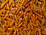 Another of the staples, corn - Zinacantan - San Cristobal de Las Casas, Chiapas