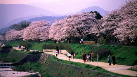 Kamo Gawa river, Kyoto