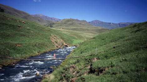 Image_2792-5