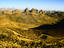 Image_282-101