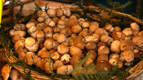 Image_2832-47