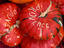 Image_2834-5