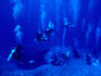 Scuba divers underwater.
