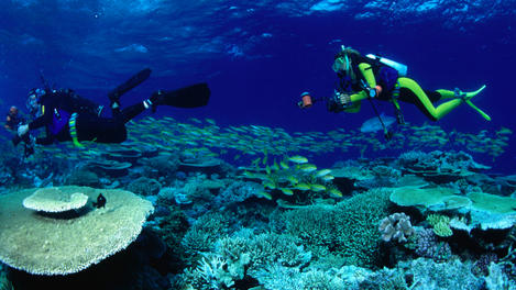 Image_284-604
