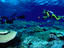 Image_284-604