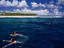 Image_2854-1