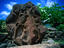 Image_2854-5