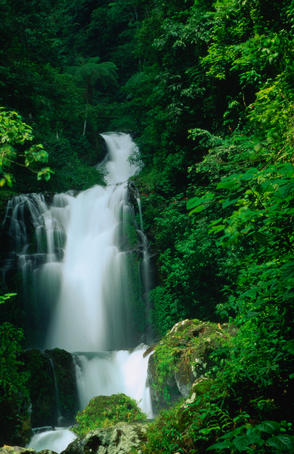 The 8th upper of the Air Terjun Gitgit Waterfalls near Lovina on Bali