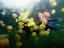 Image_287-501