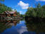 The mangrove forests of Sandakan, and the accommodation available to visitors