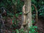 Image_2886-13