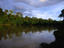 Kinabatangan River in Sabah
