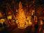 Image_2899-33